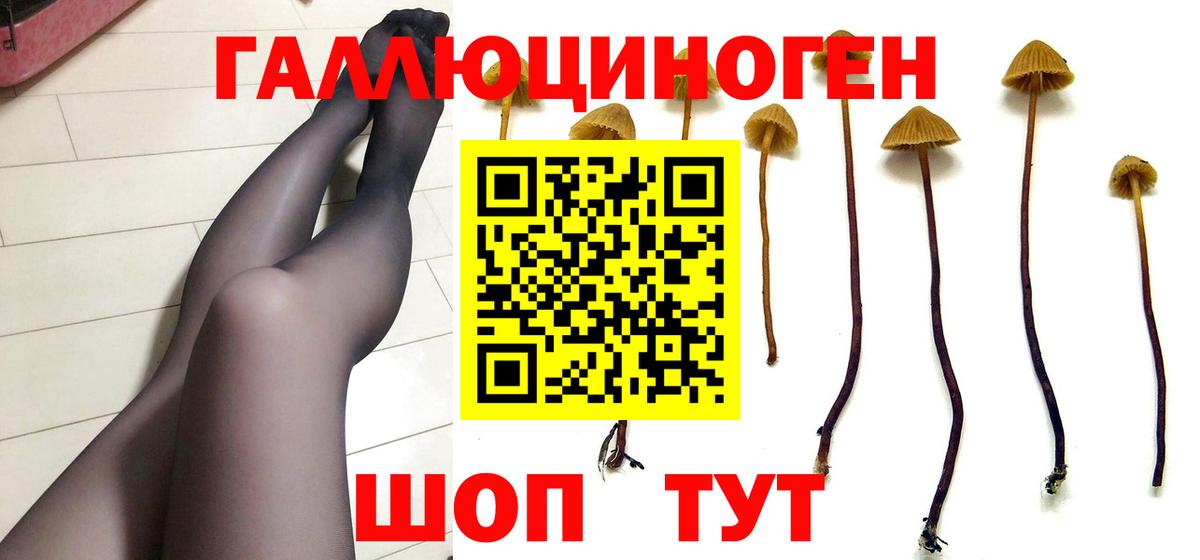 Псилоцибиновые грибы Magic Shrooms  Галлюциногенные грибы Psilocybe  Железноводск  Вход с VPN 